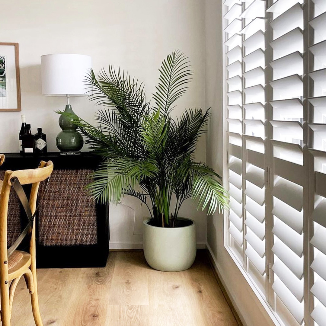 Beautiful plantation style dining room with lamp, palm and plantation shutters on the window. 